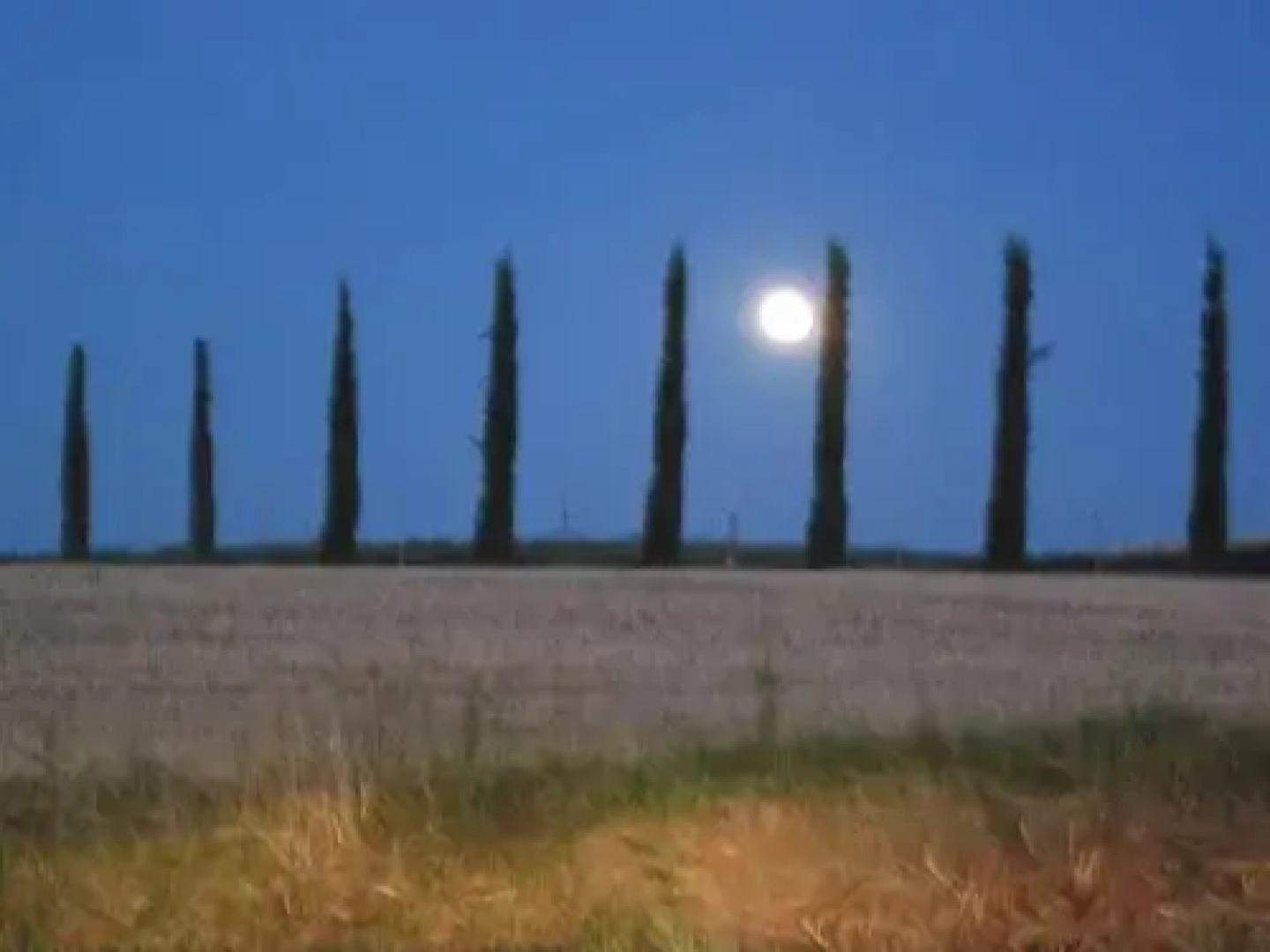 Agriturismo Torrenieri
