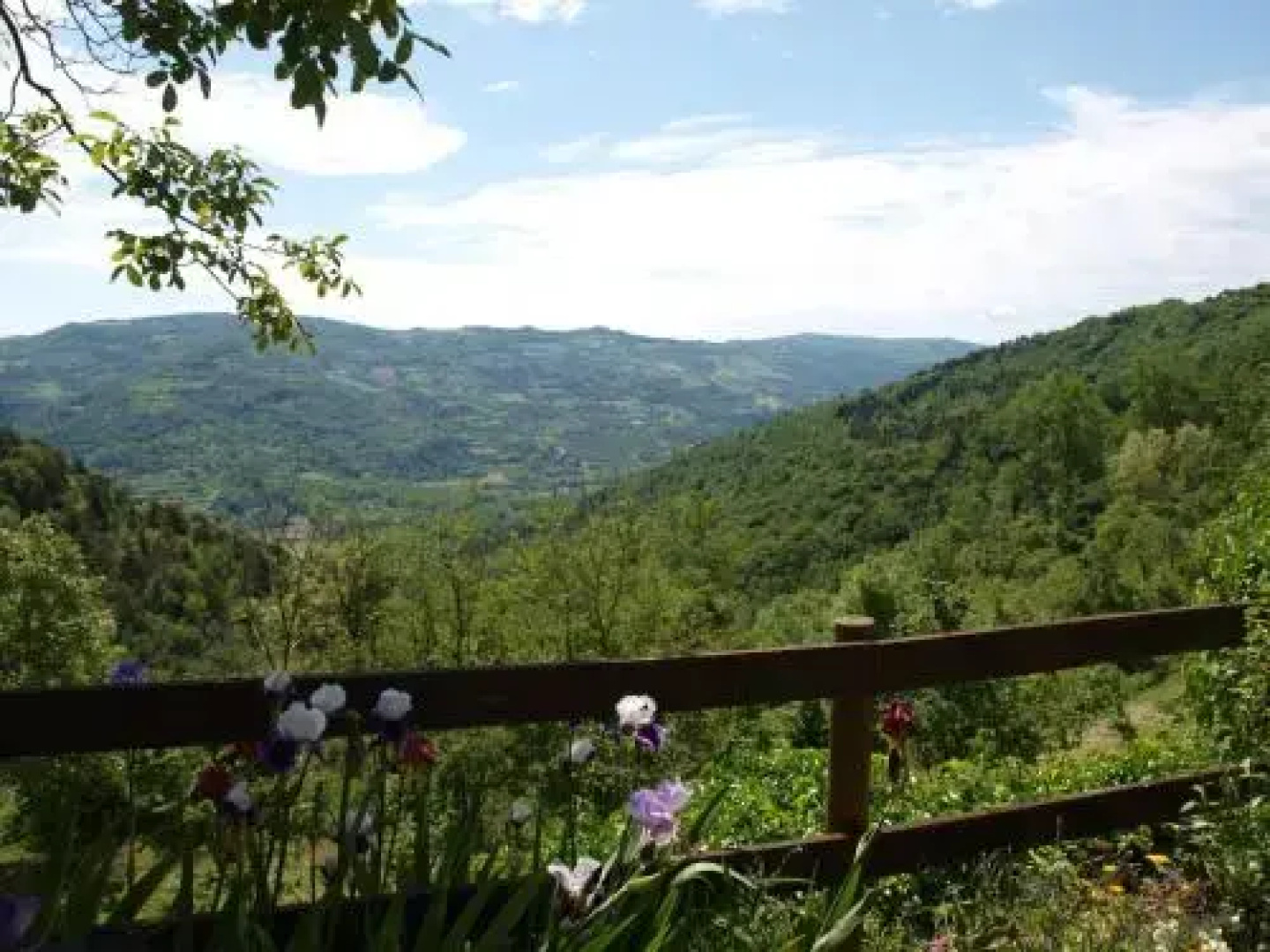 La Collina degli Scoiattoli