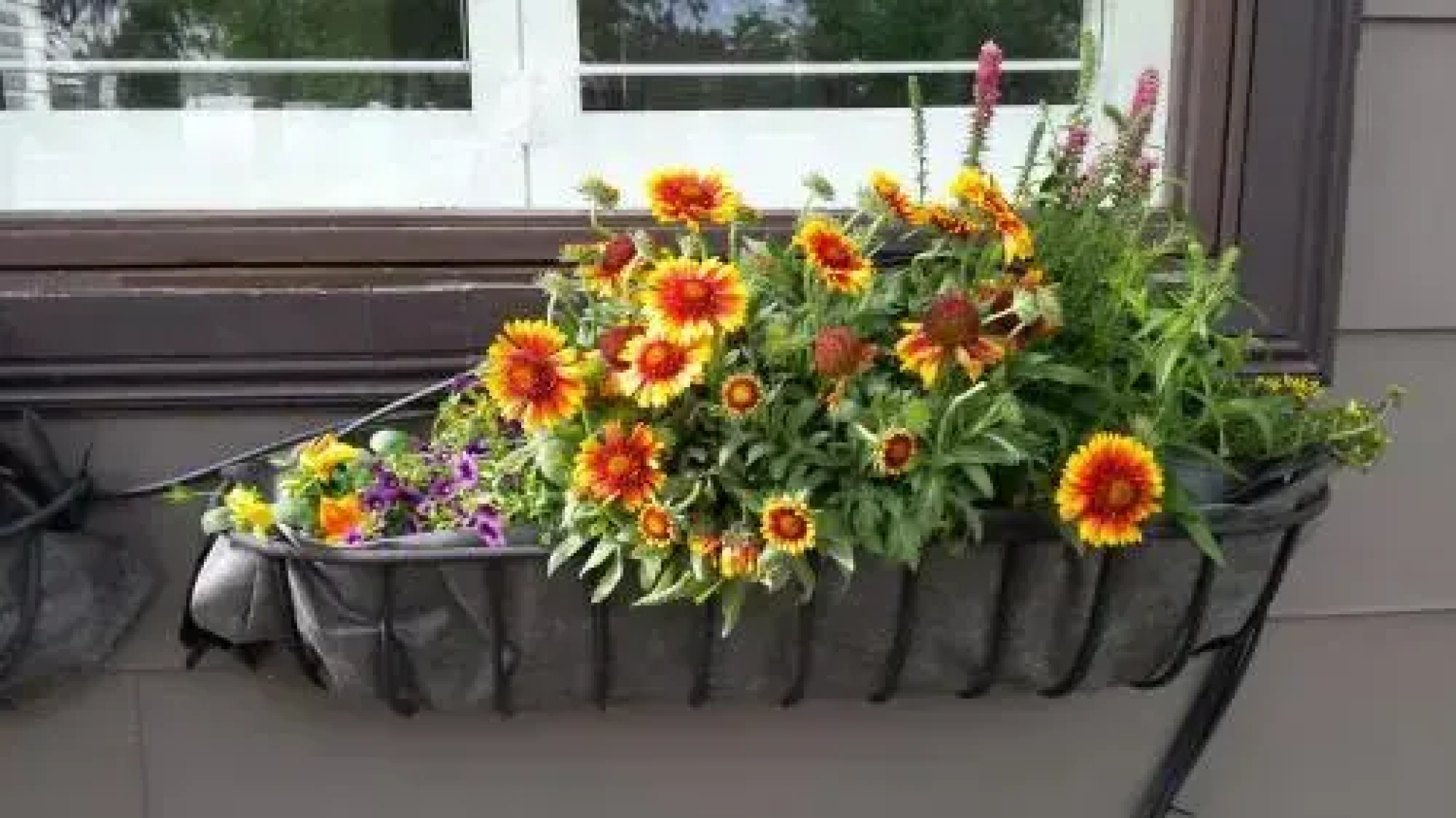 Yellowstone House of the Three Bears