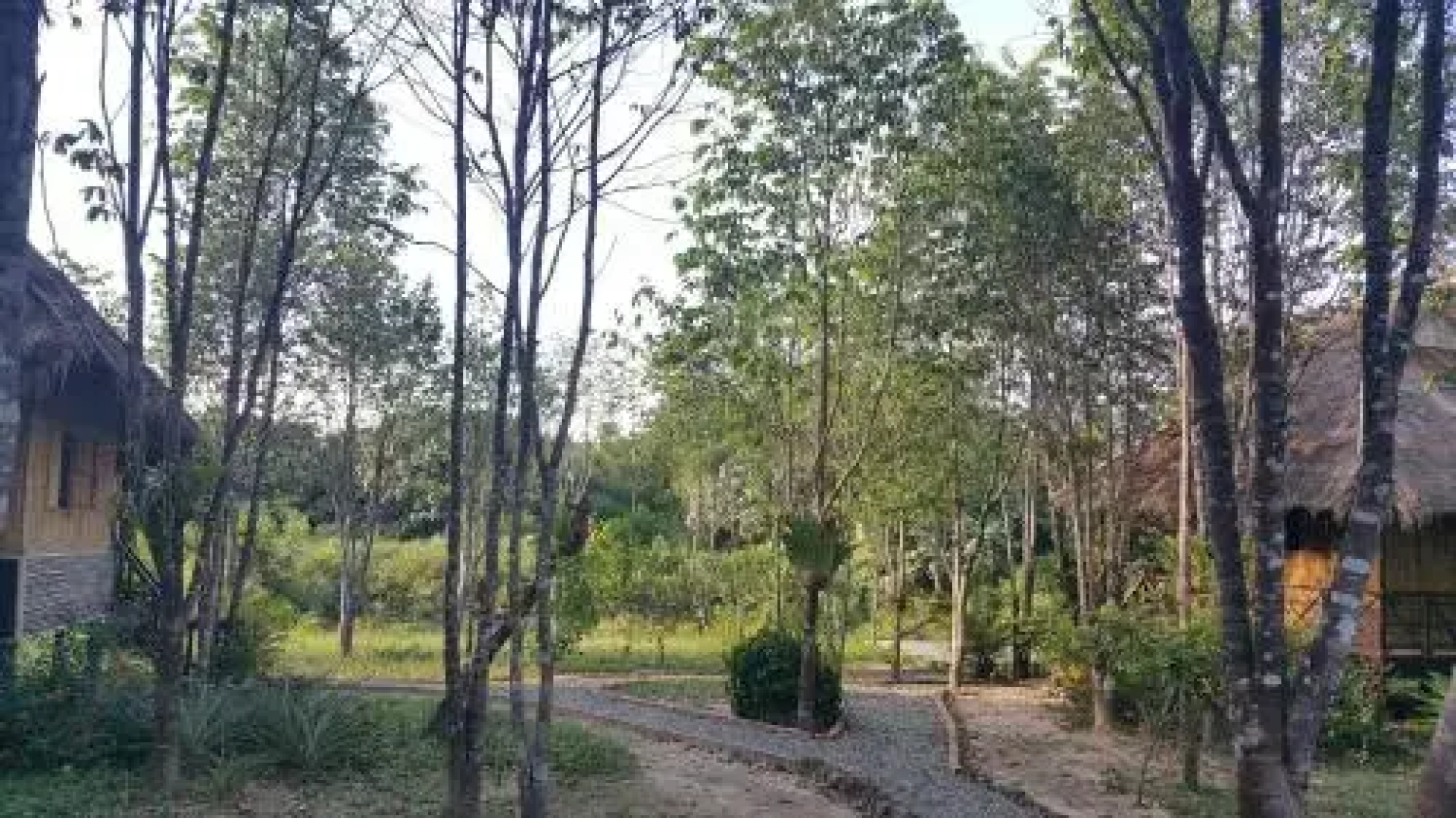 Sun Bear Bungalows