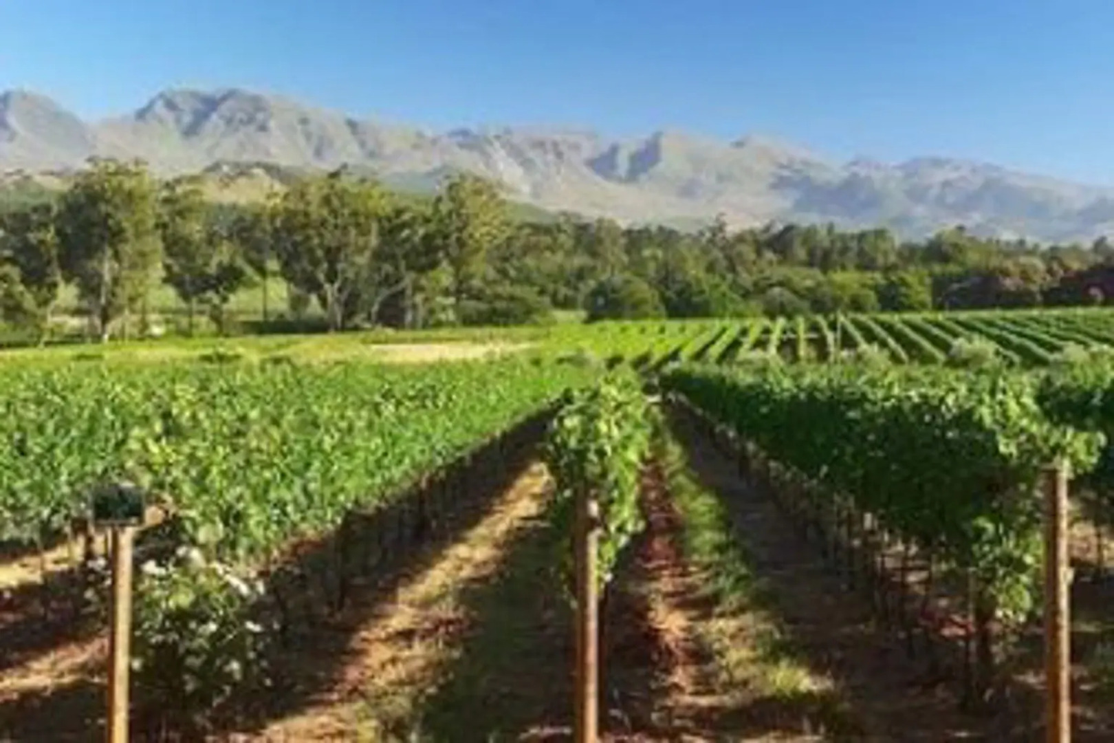 Elgin Vintners Manor House