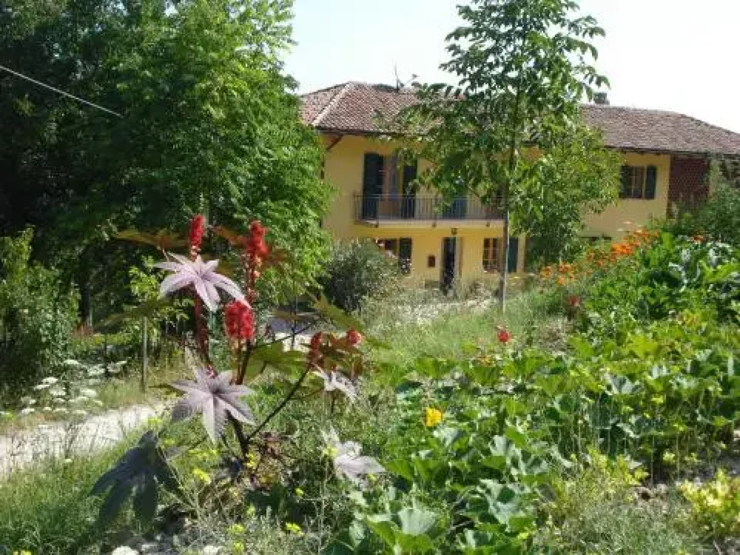 Casa Calendula