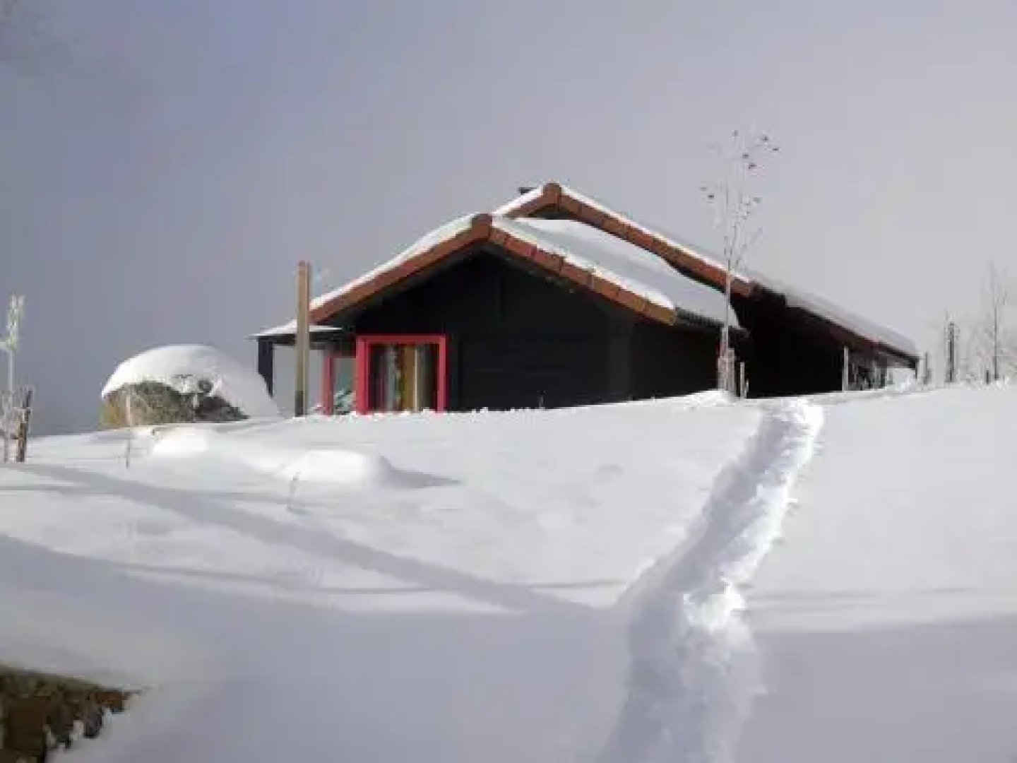 Cabañas Patagónicas