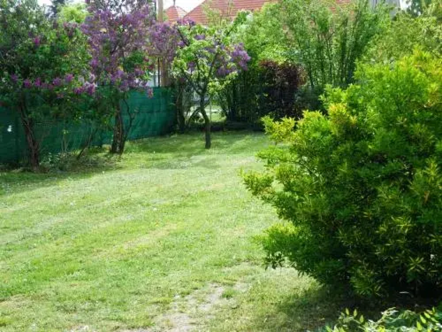 Orgona Nyaralóház