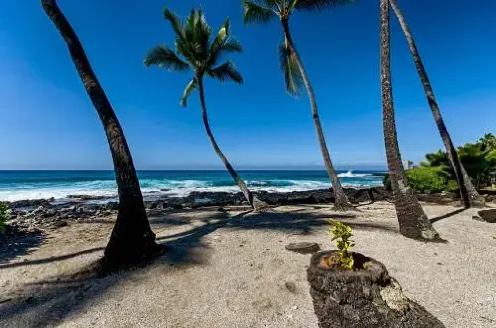 Kona Shores #203