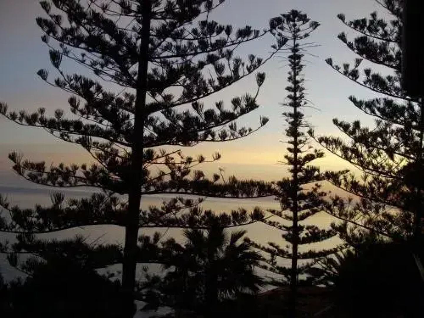 Pineta sul Mare B&B