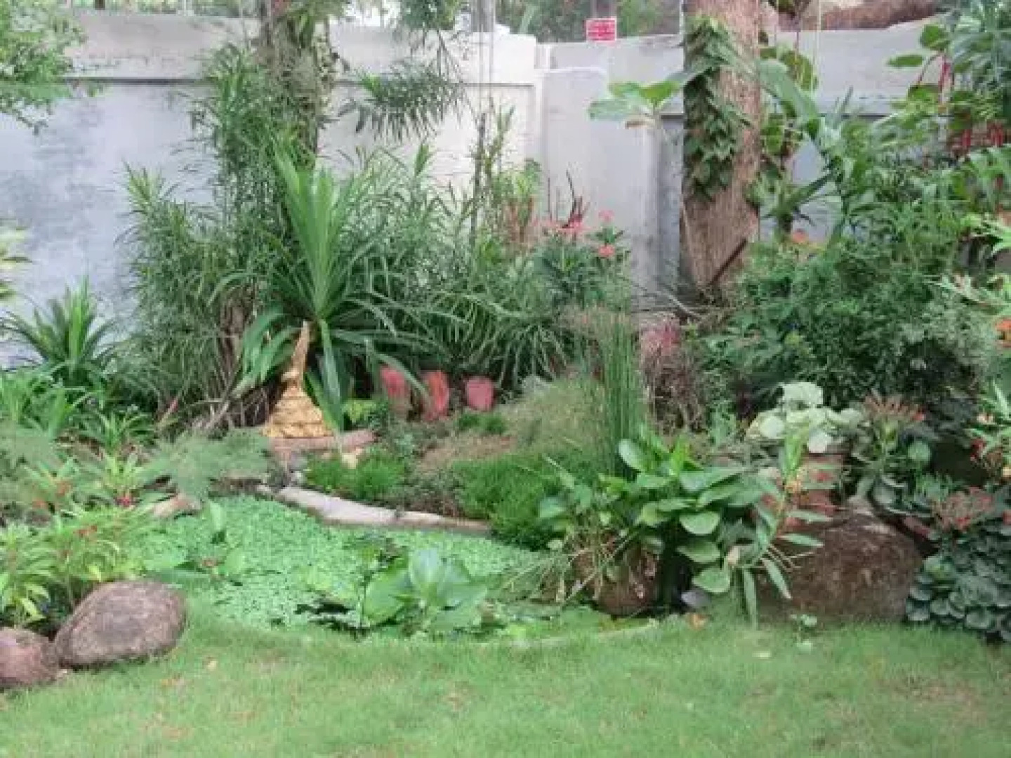 Bay Mansion Homestay