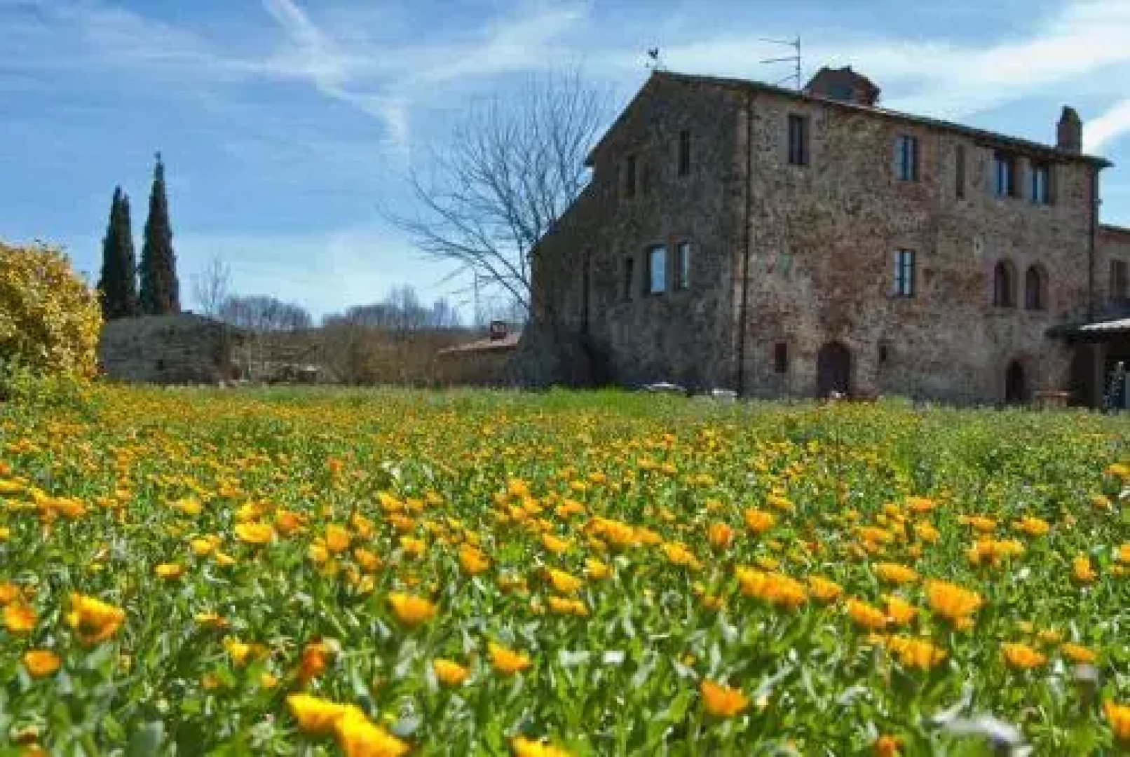 Podere Santo Stefano