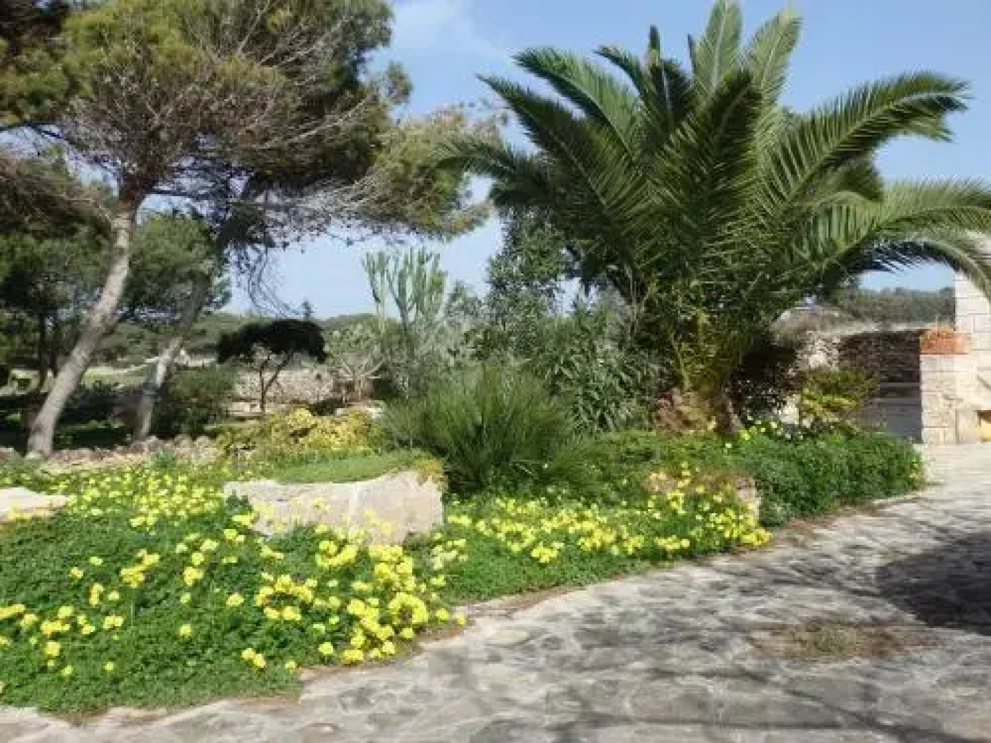 Appartamenti la Pinetina di Favignana