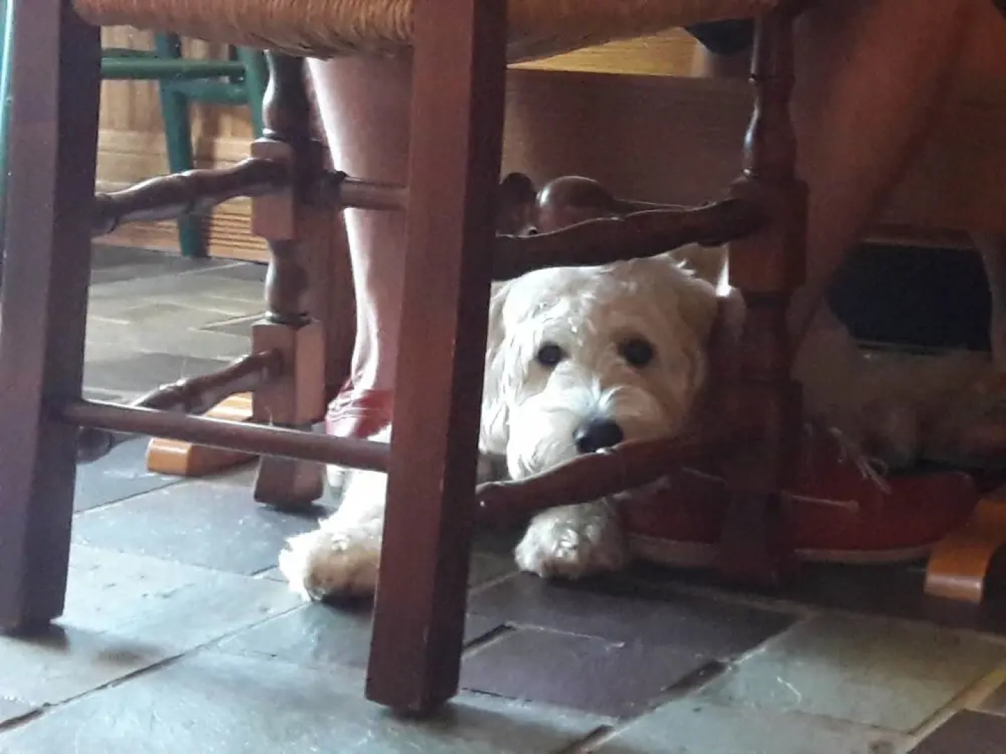 Barclay Heights B&B at Smythe House