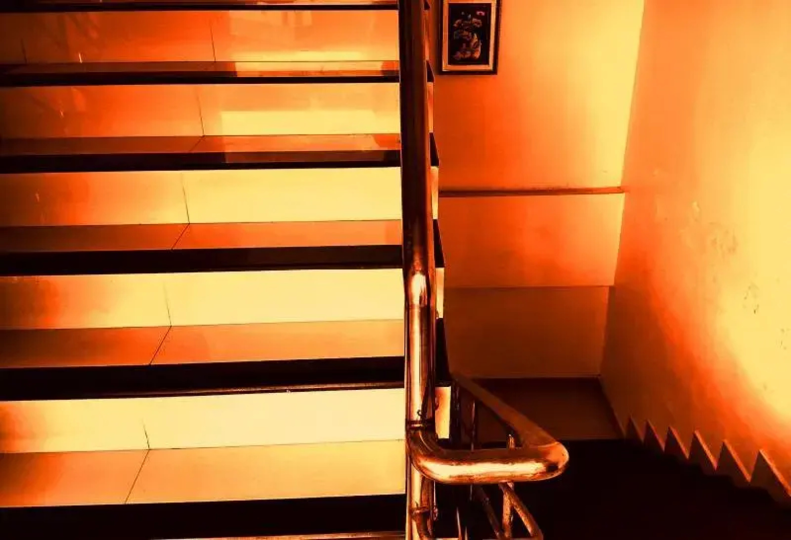 Hotel Royal Nest