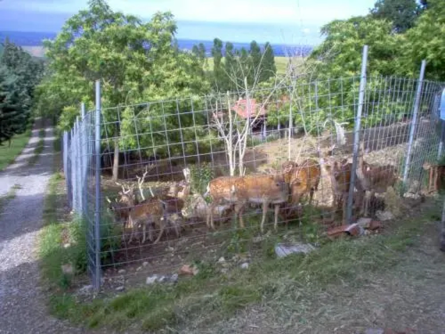 Agriturismo Monte Valbelle