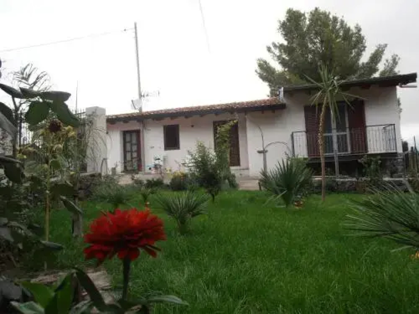 La Rosa dellEtna
