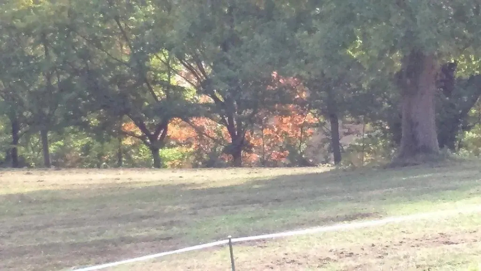 Chambres dHôtes Irazabala