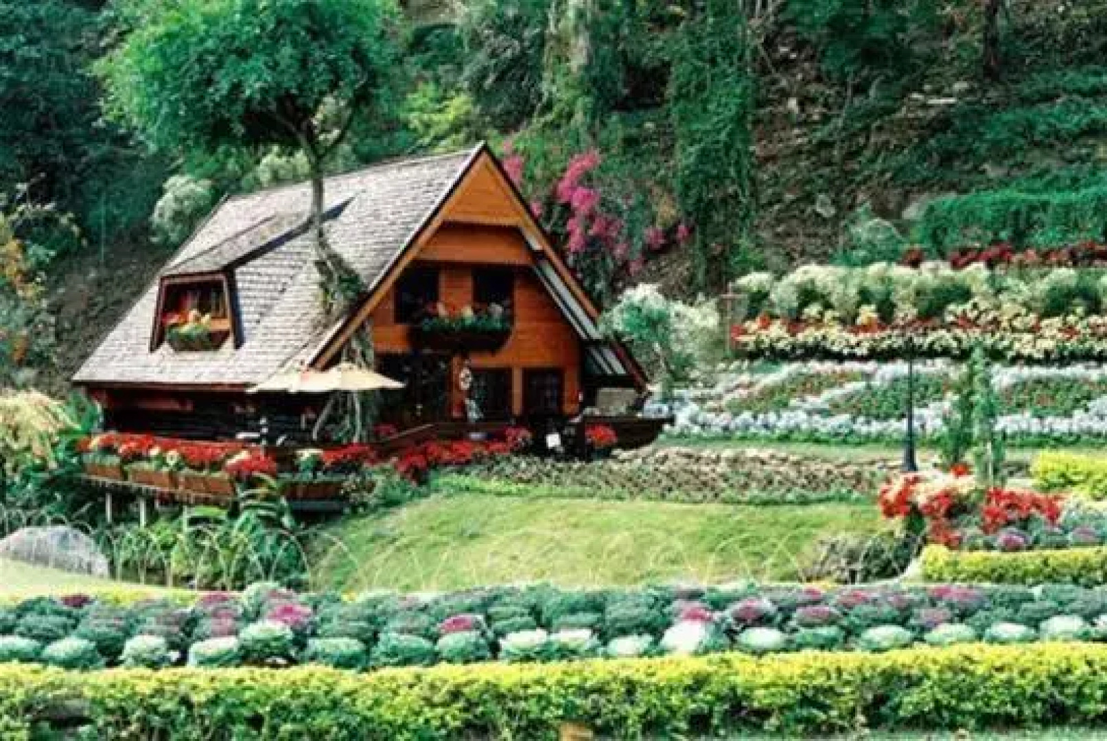 Krisdadoi Chiang Mai