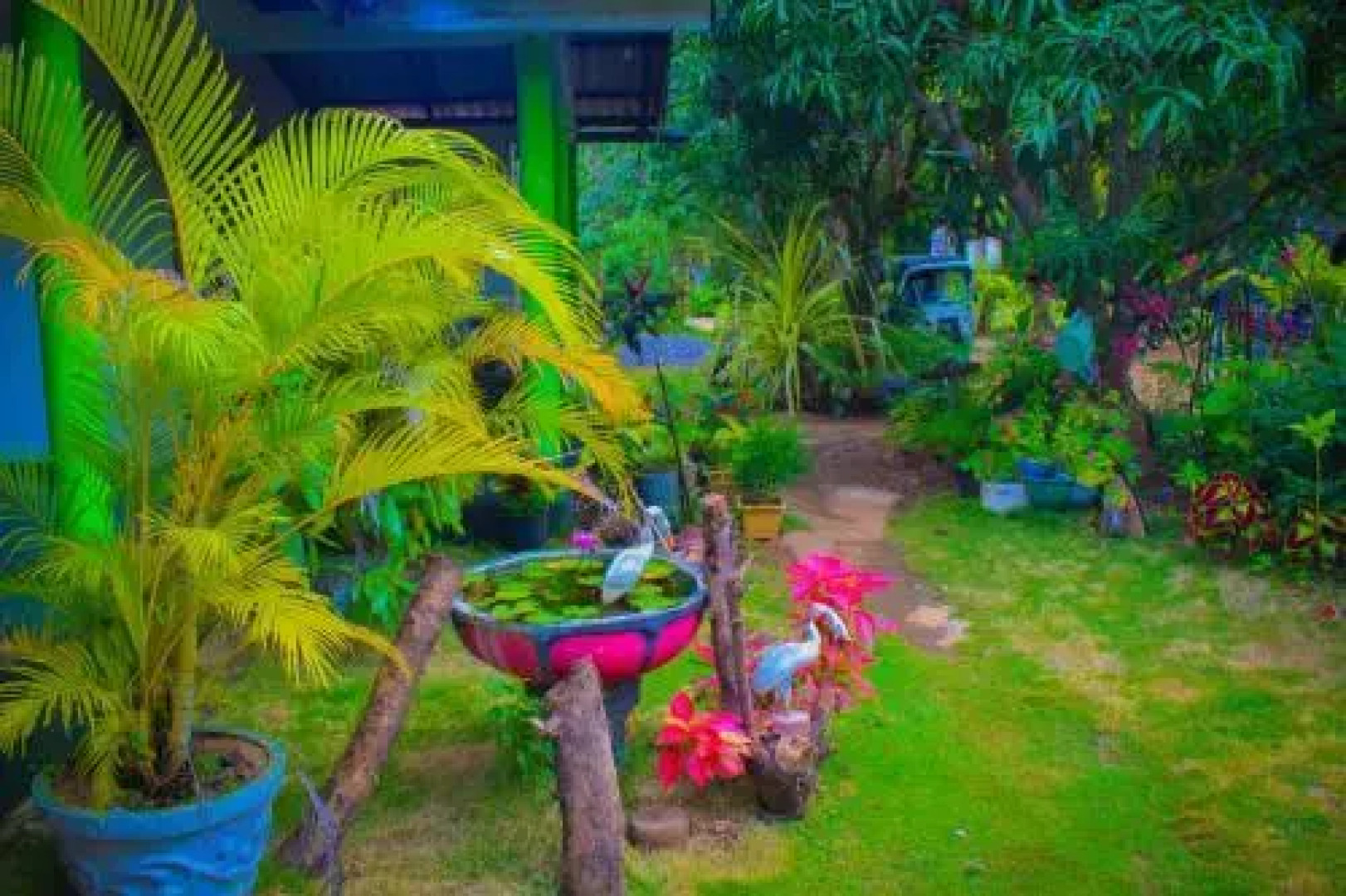 Sigiriya Green Garden Homestay