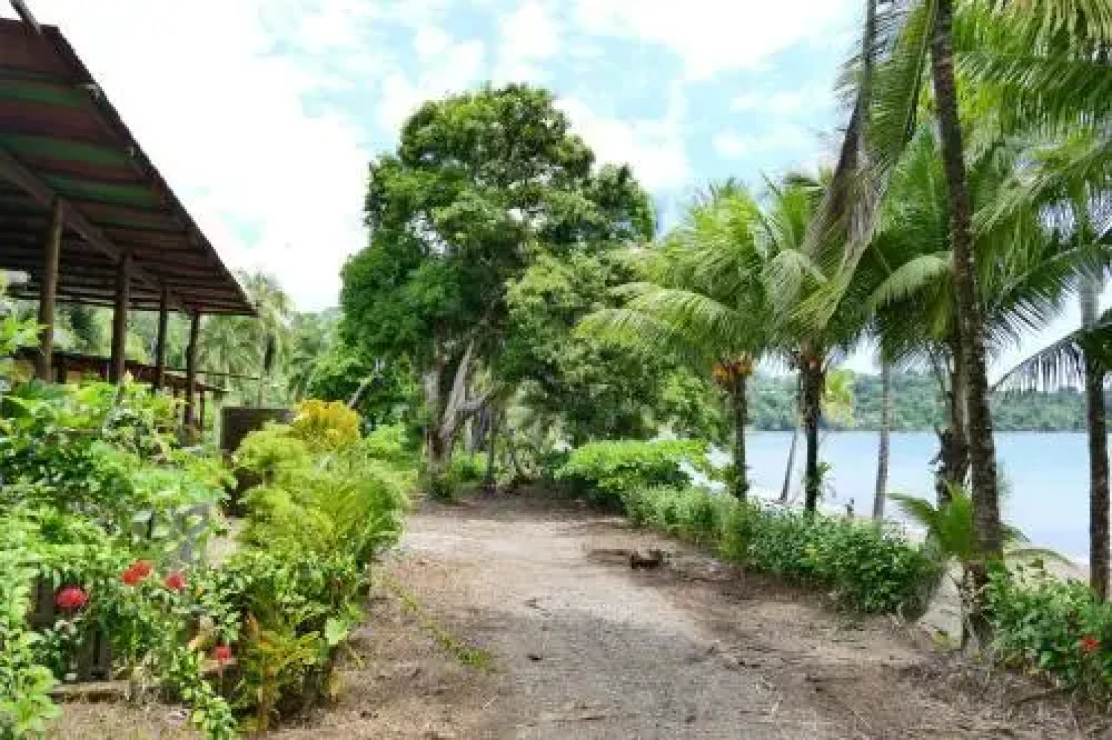 Las Brisas Tours y Cabinas