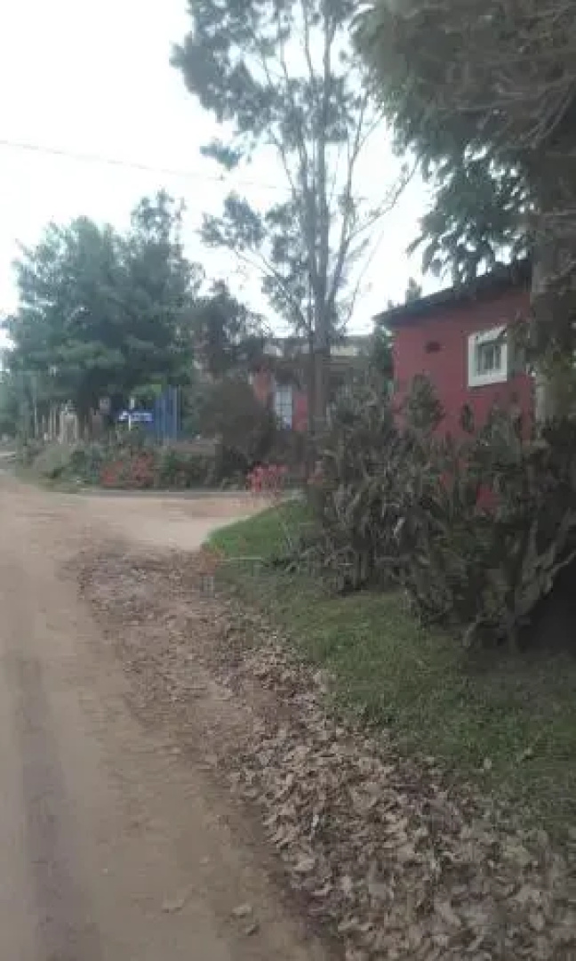 La Casa de los Pinos