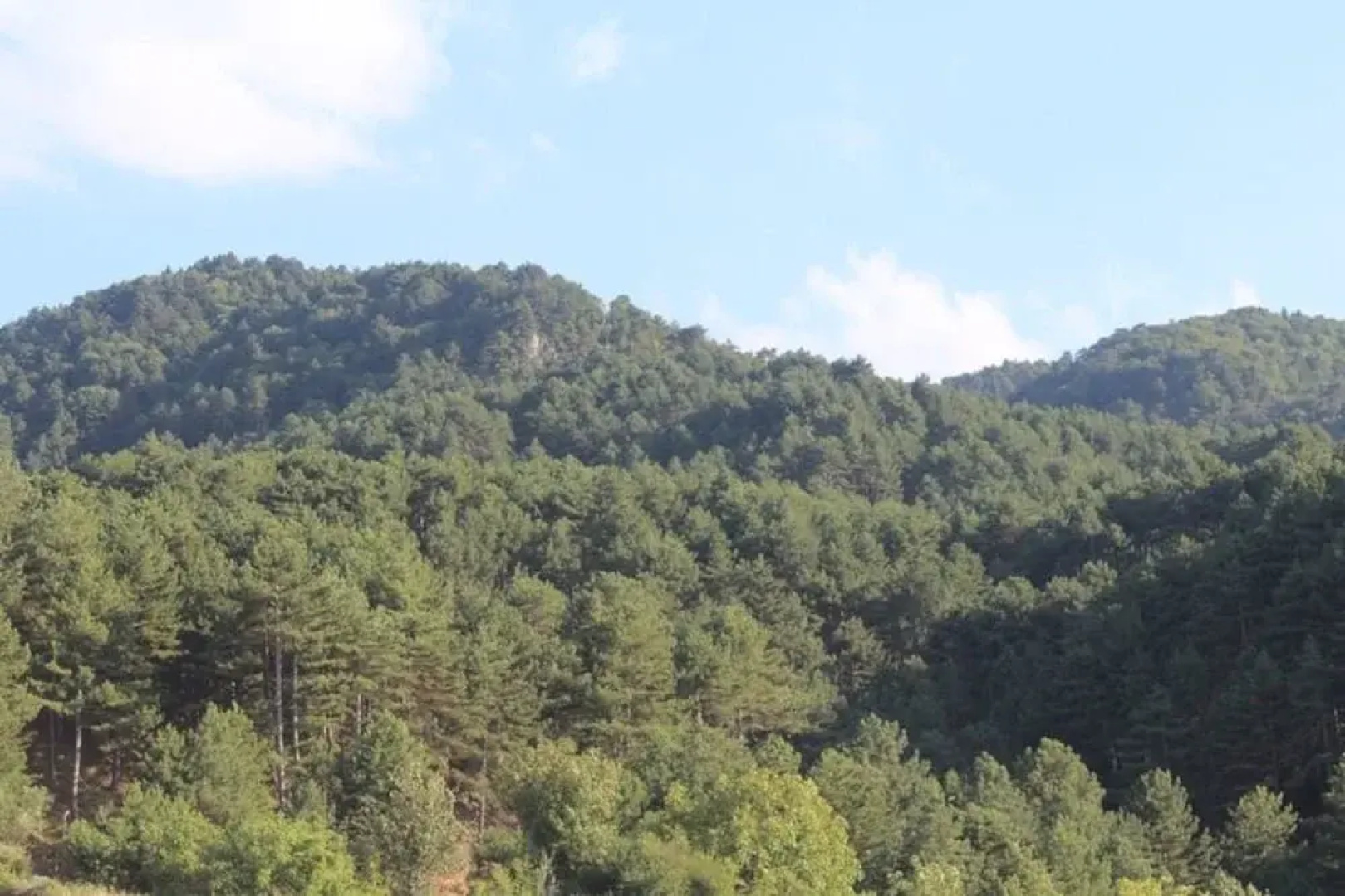 Yenice Goknar Hotel