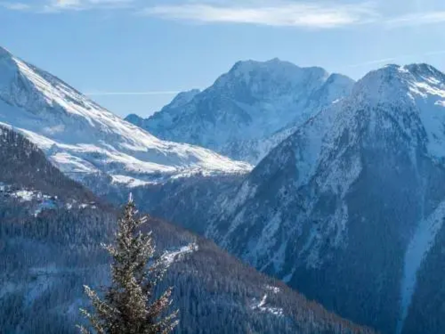 Chalet Panorama