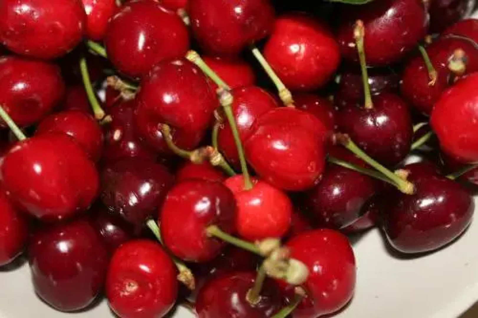 Agriturismo Il Leccione