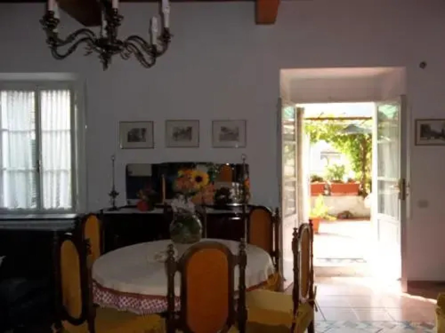 Casa David