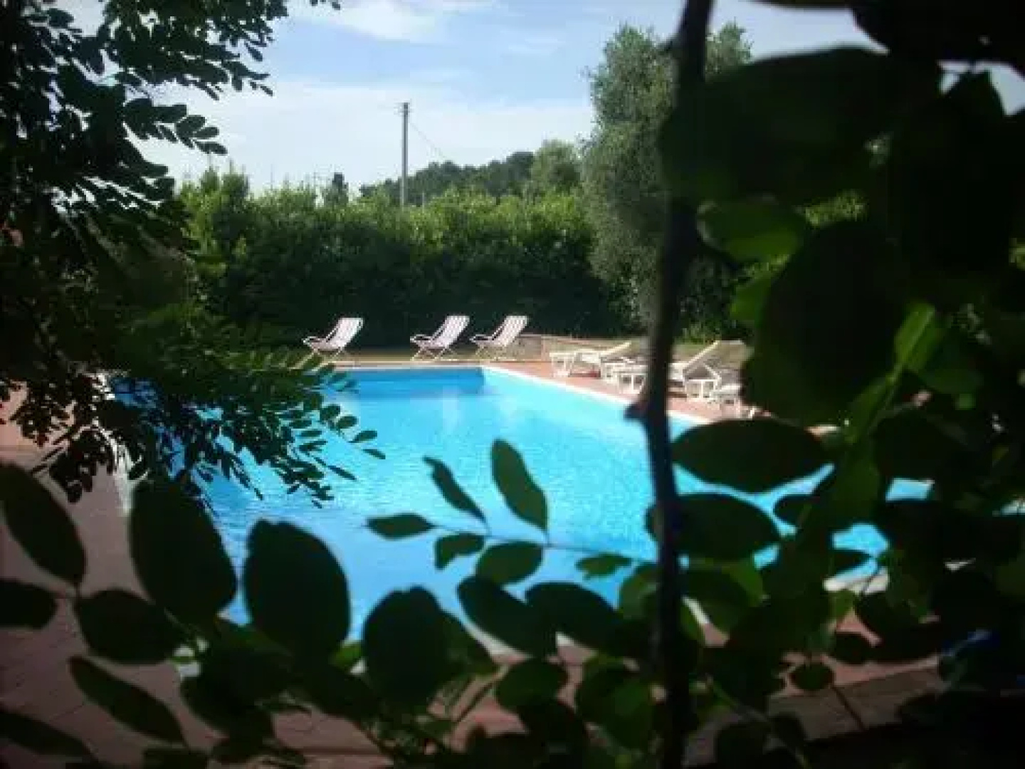azienda agrituristica Allumiere