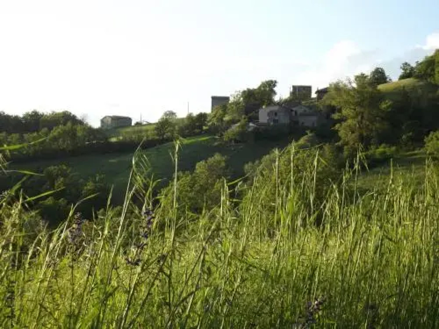 La Ciastra Ed San Michel