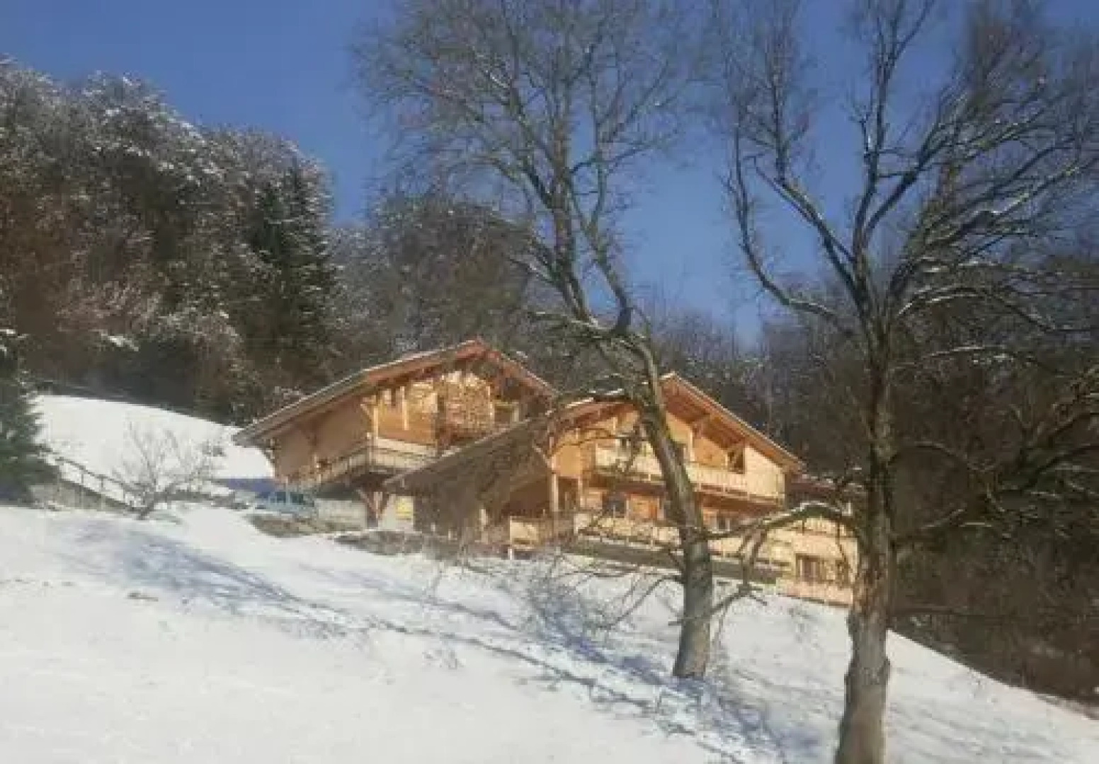 Le Chalet Vue Mont-Blanc