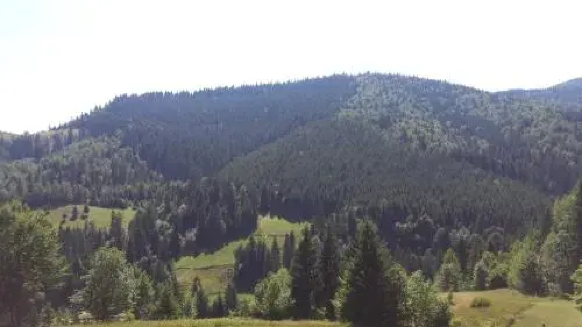 BUKOVINA