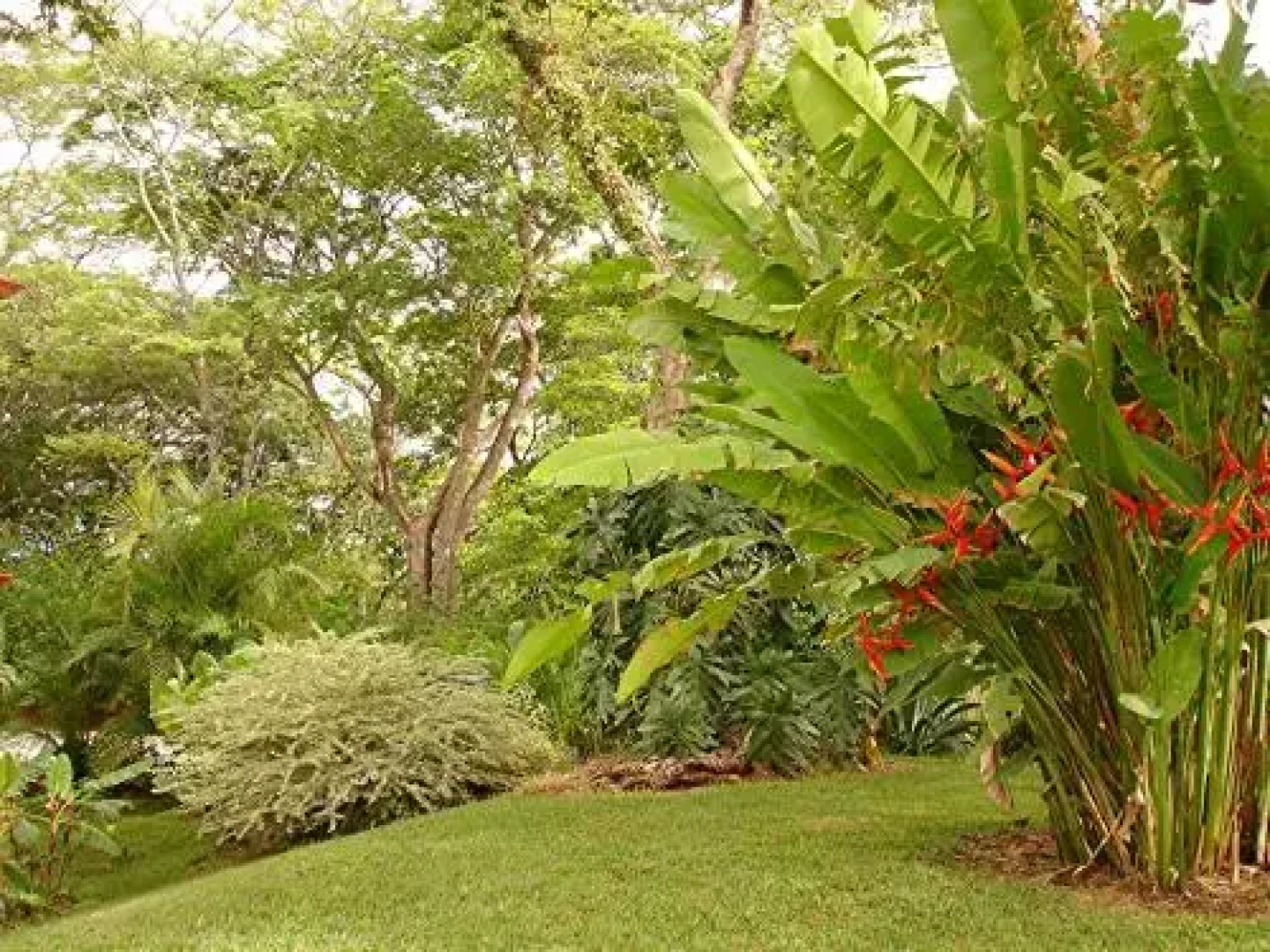 Condominium Villas Venado