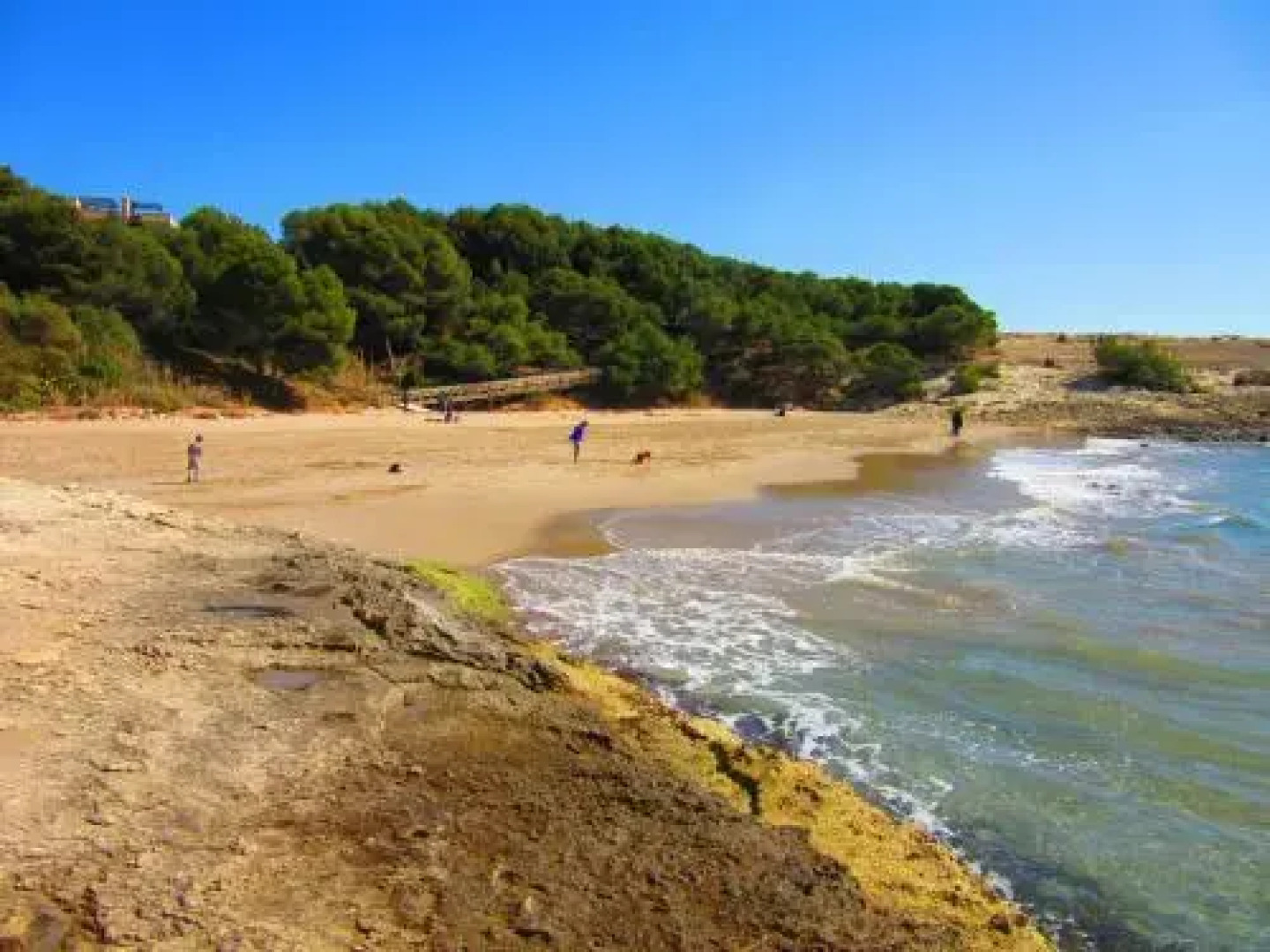 Anforas Mar Gabriela