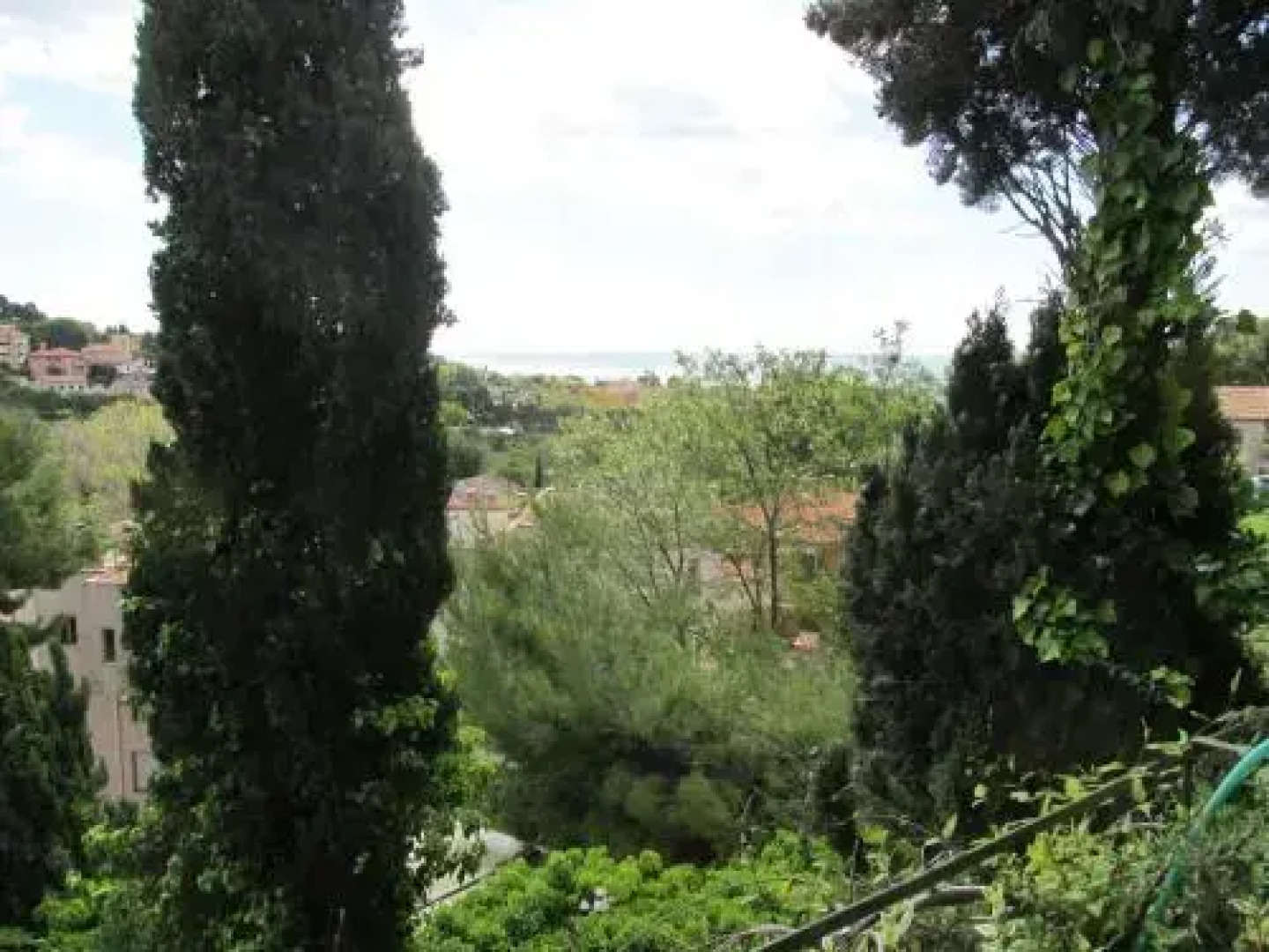 Hotel Conchiglia Verde