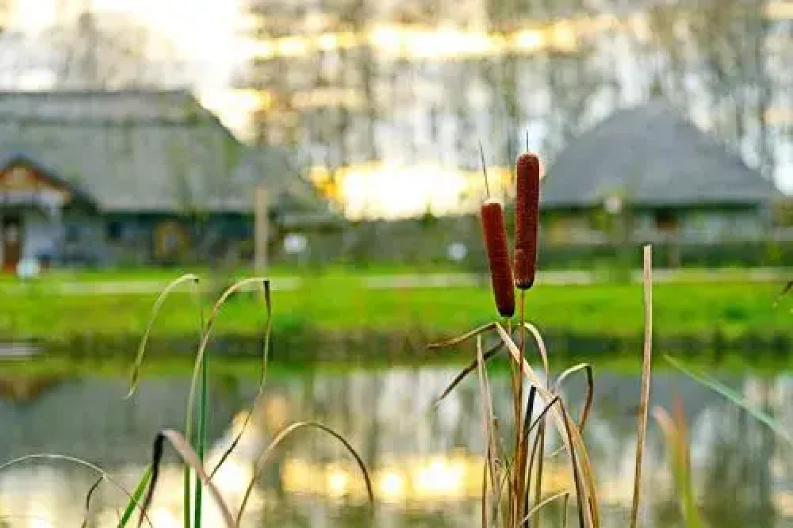 Этномир Отель Украина