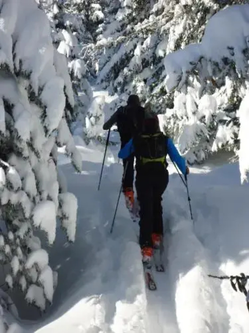 Ferienwohnung Steinberger