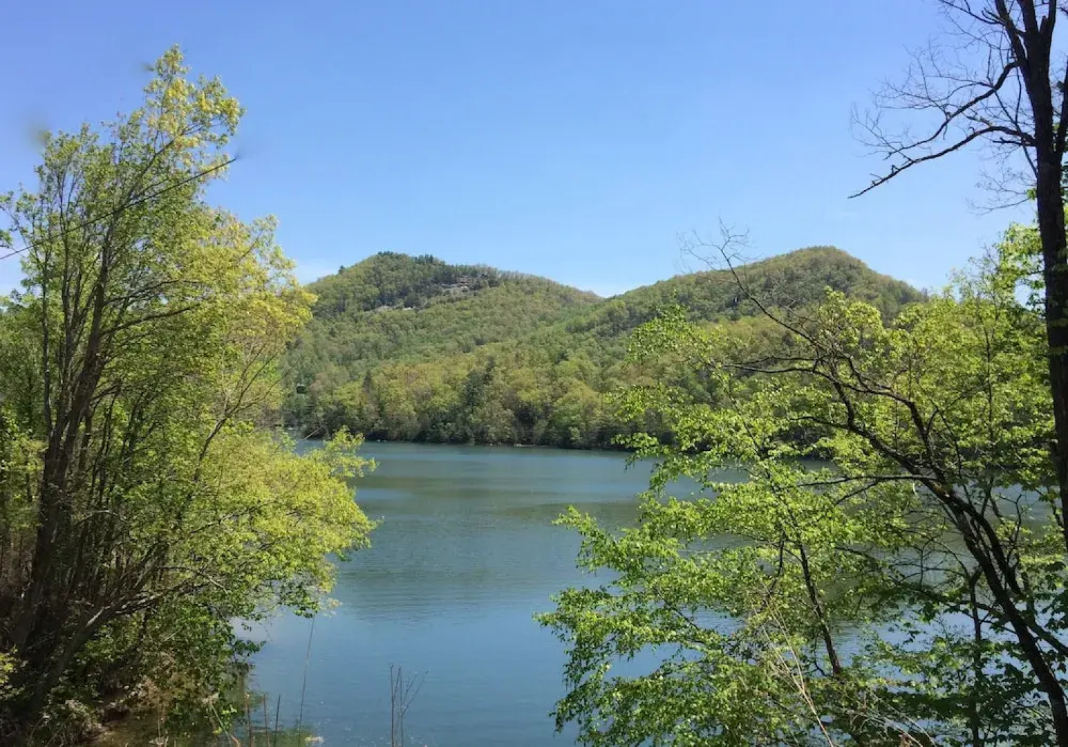 Wolf Creek Cabin - Windy Hollow