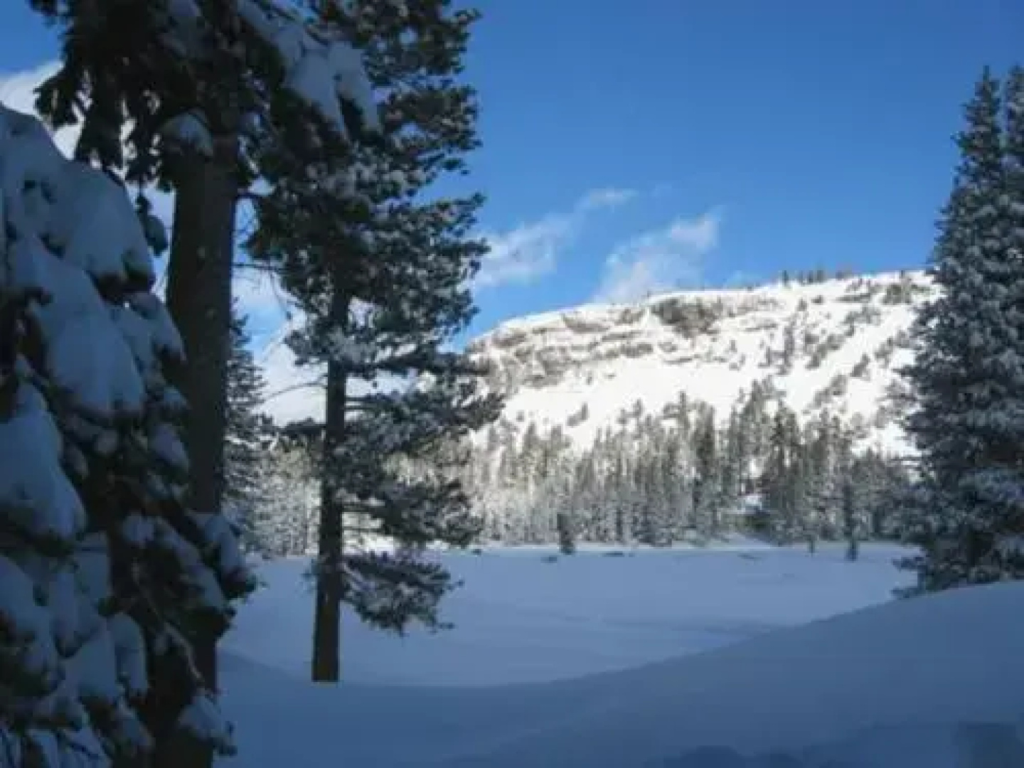 Mountain Club at Kirkwood - Ski In/Ski Out & Affordable Studio #225