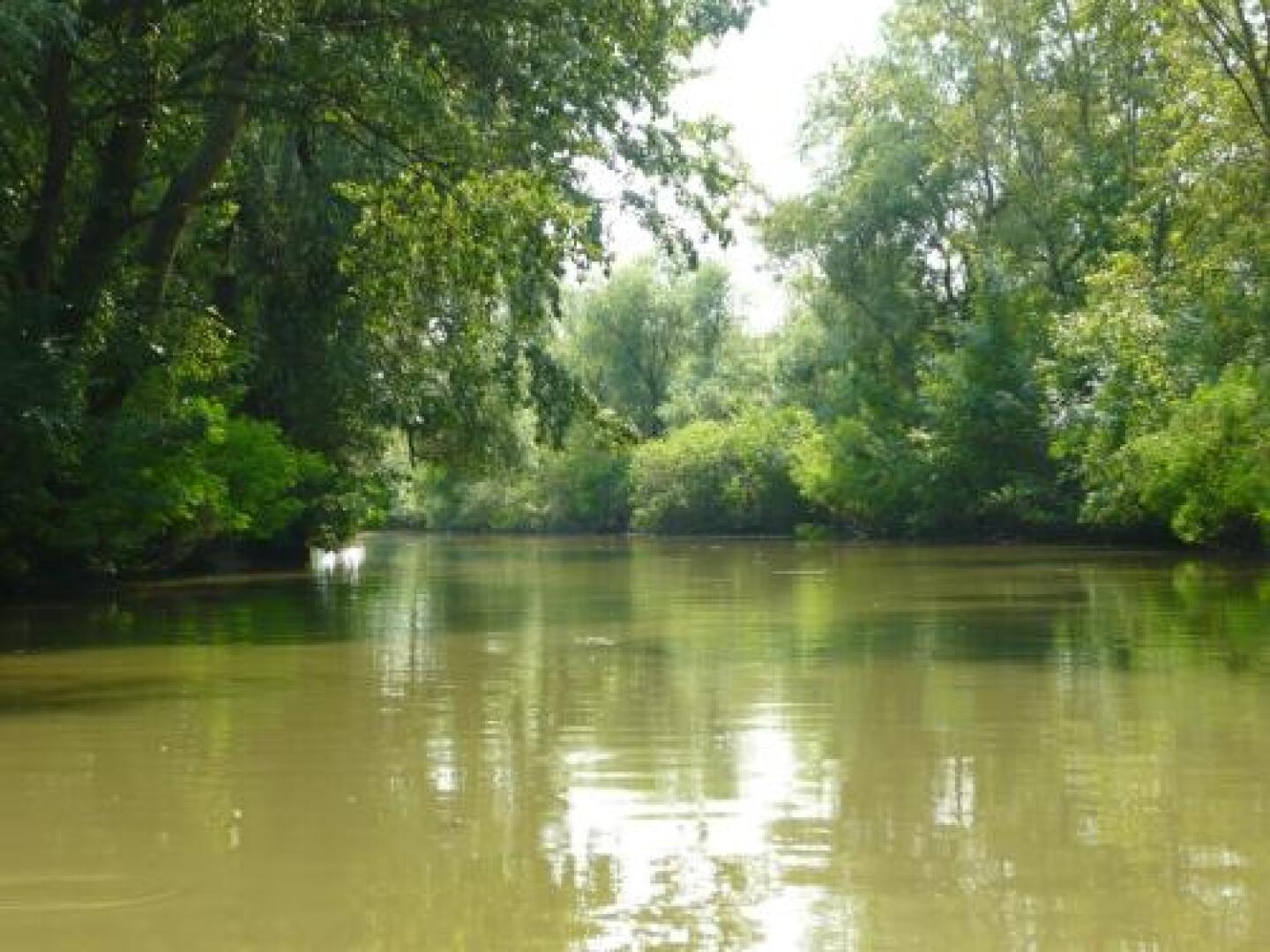 Holiday home Sellő Vendégház