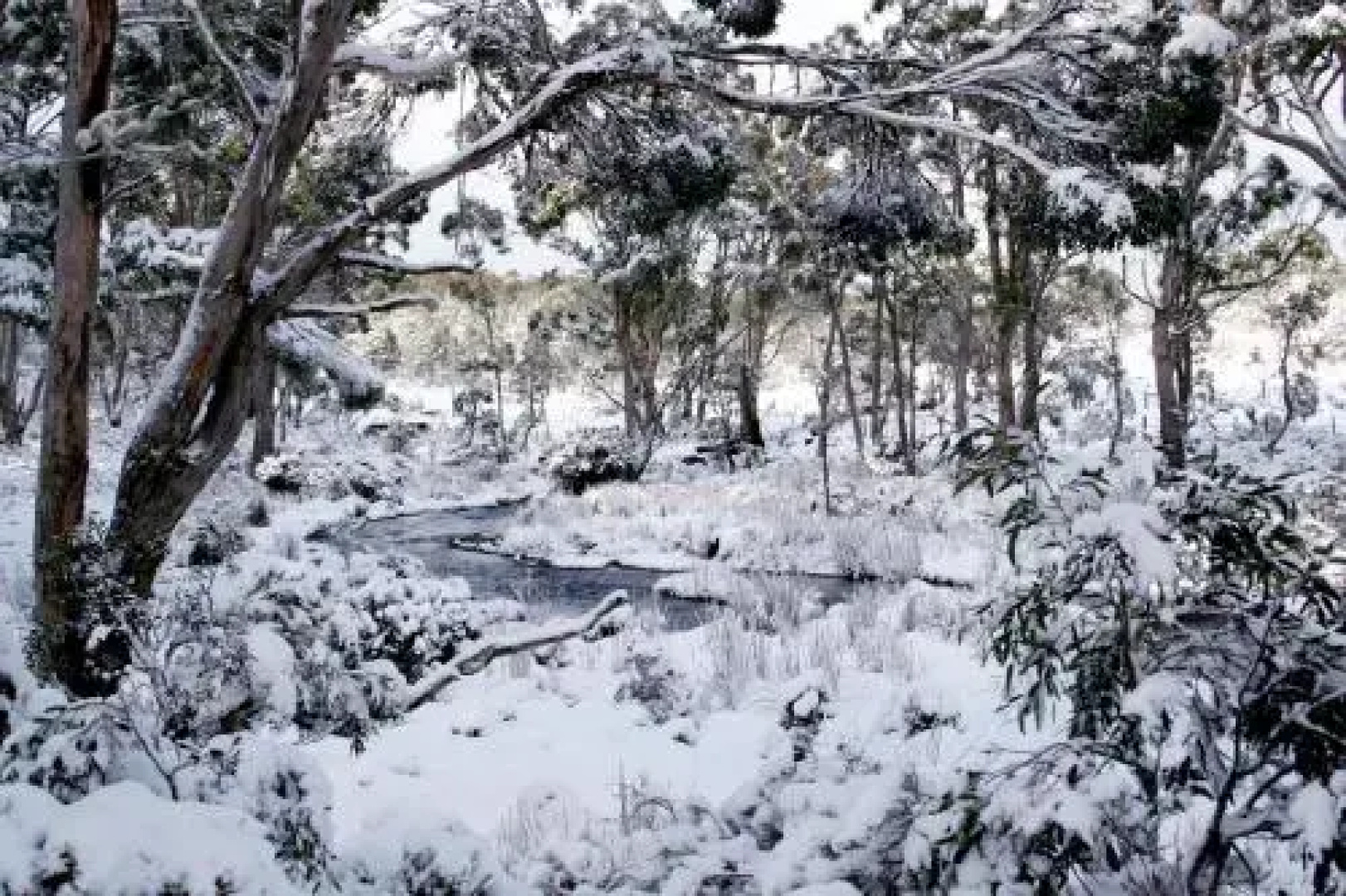 Cradle Mountain Love Shack