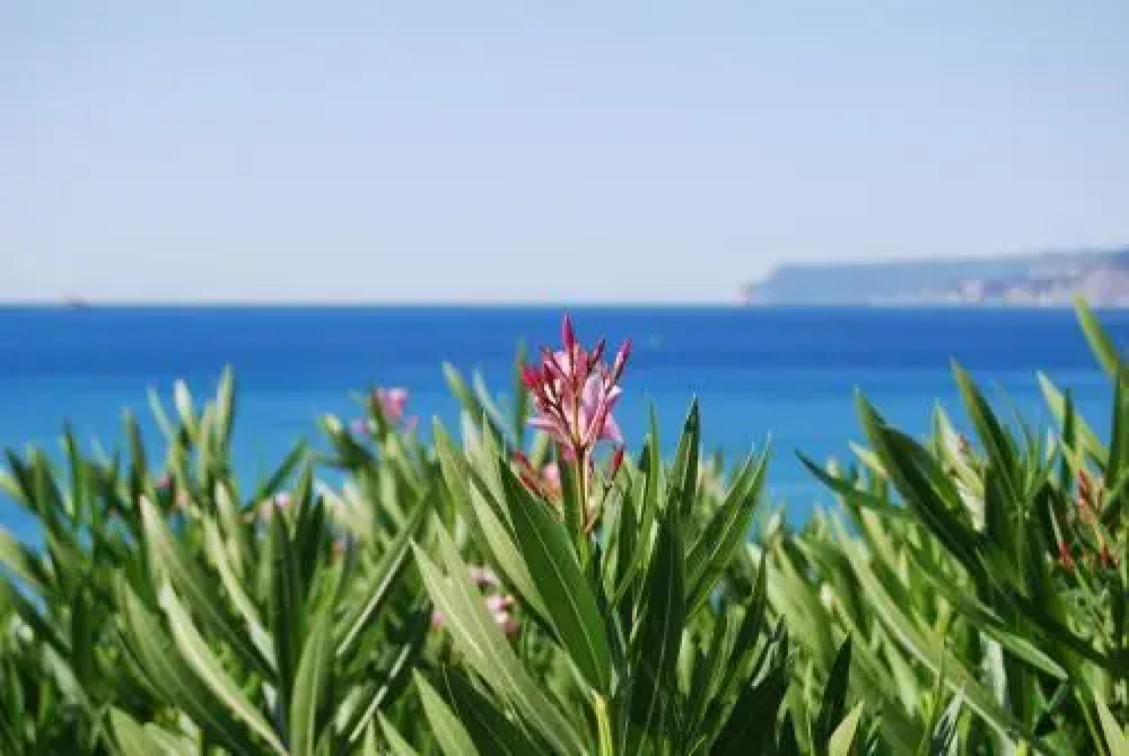 Villa Lina B&B