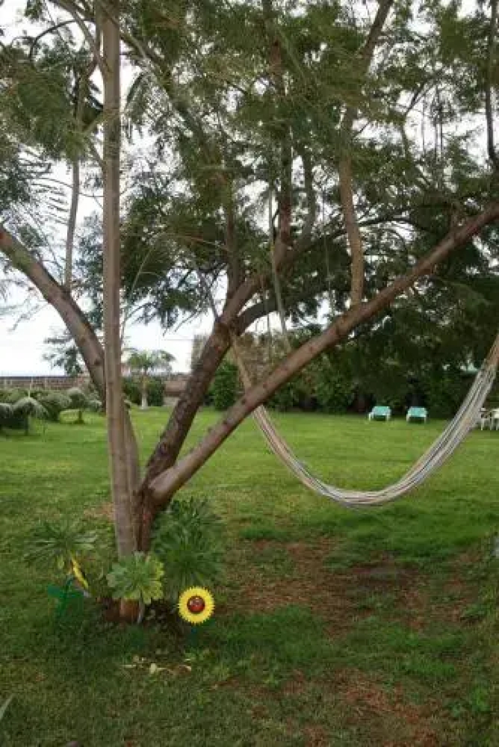 Casa del abuelo Buenavista del Norte