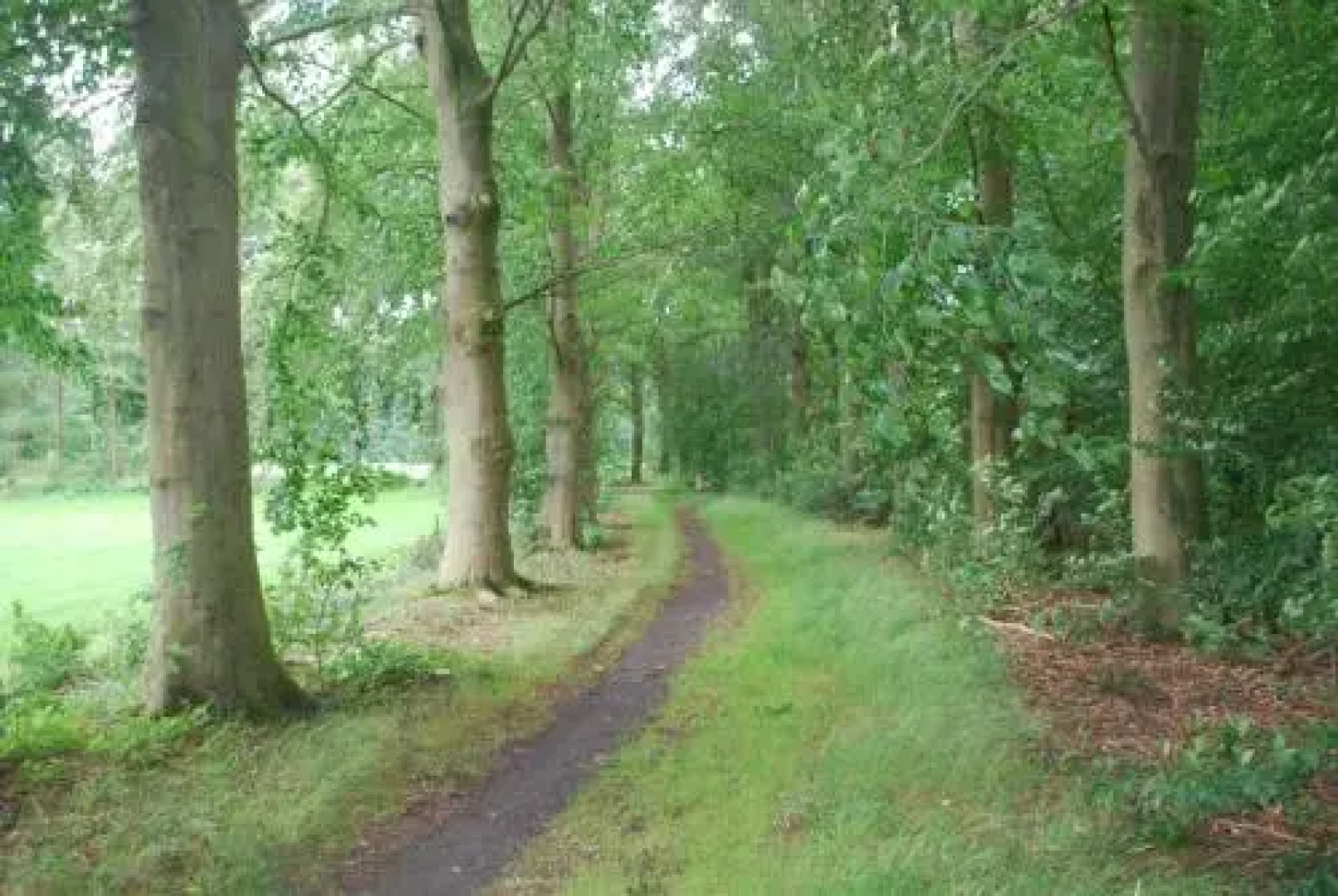 De Hagmolenbeek Boekelo