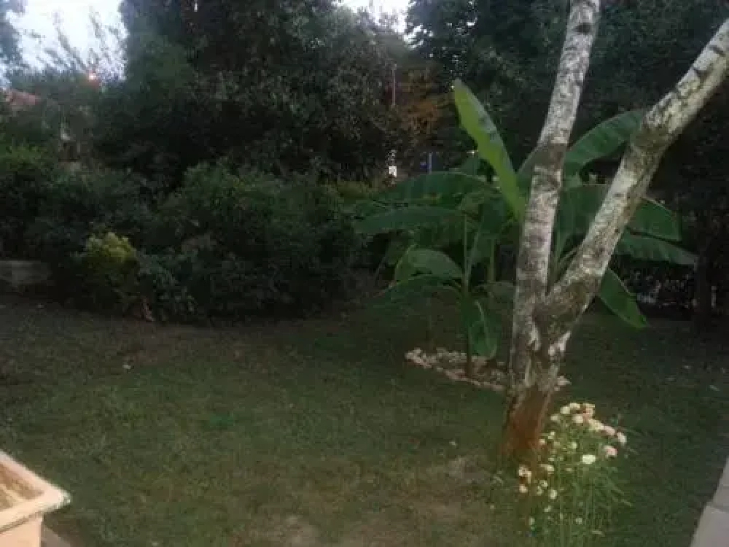 B&B Bhakti