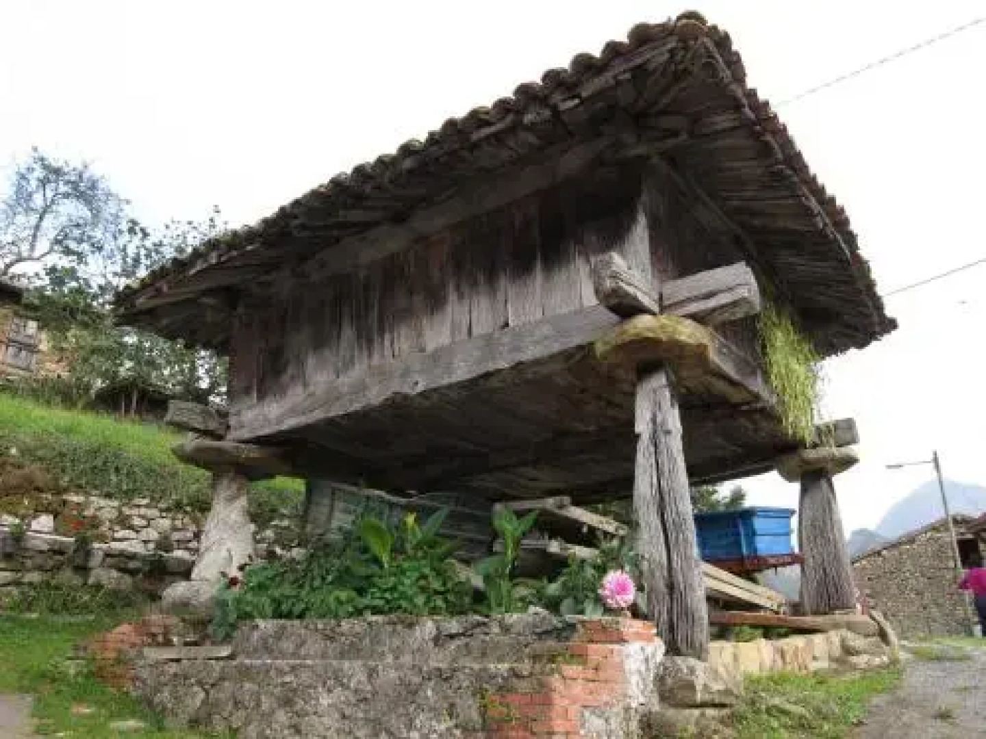 Casas Rurales Asturias Campon Antrialgo