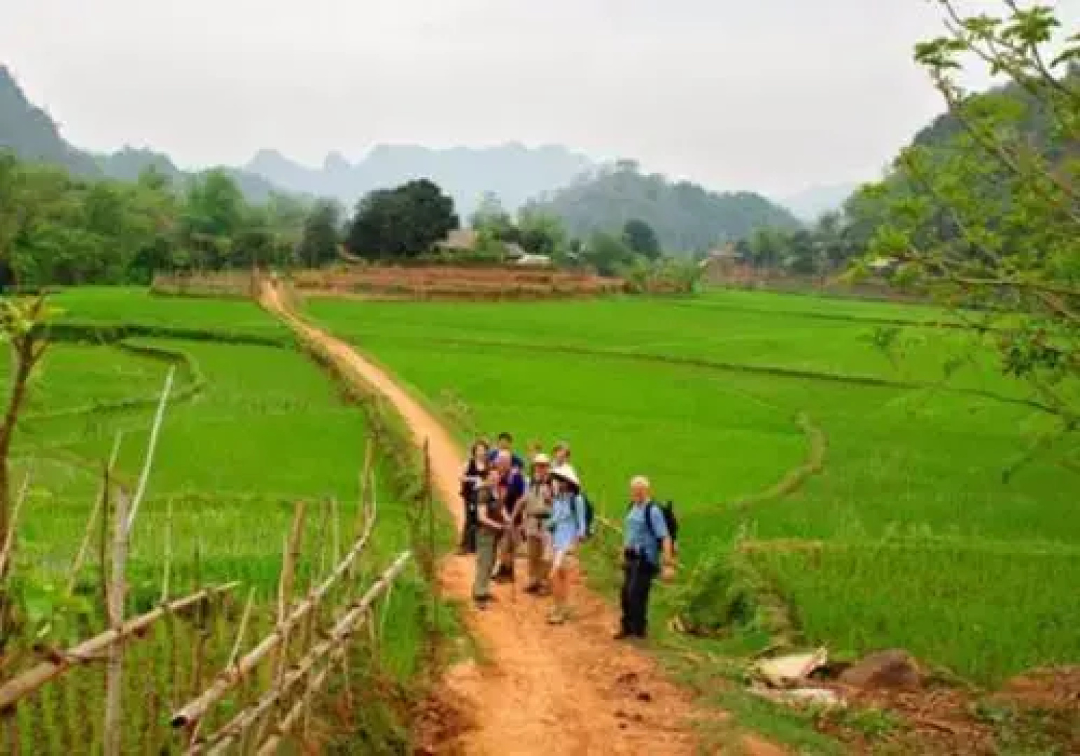 Eco Homestay - Hostel