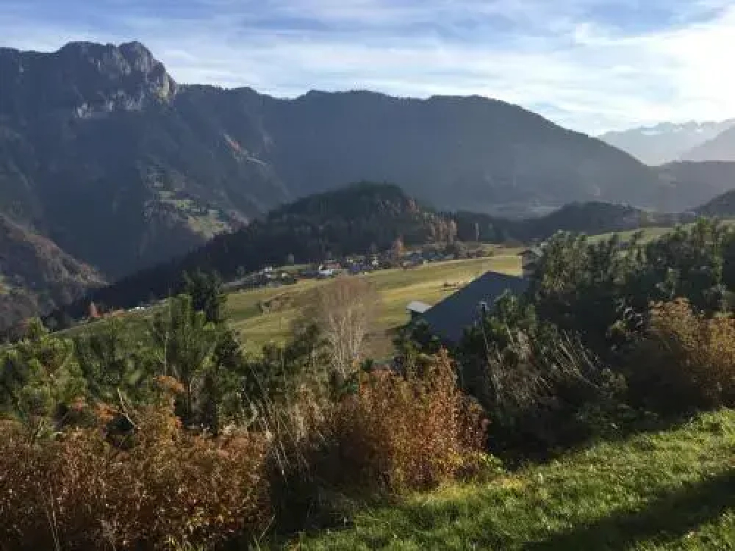 La petite Silène