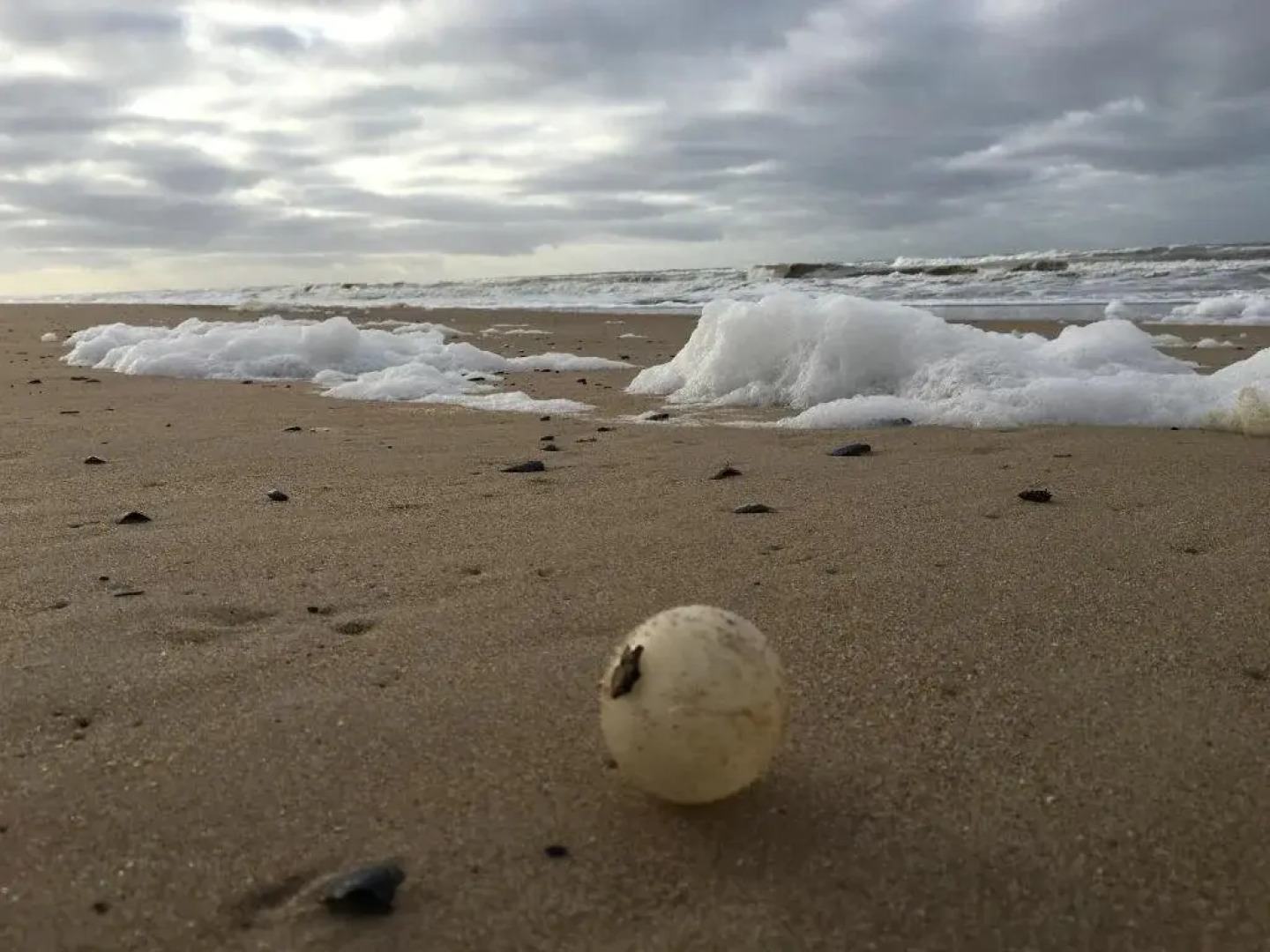 Casa Dash Beach Houses
