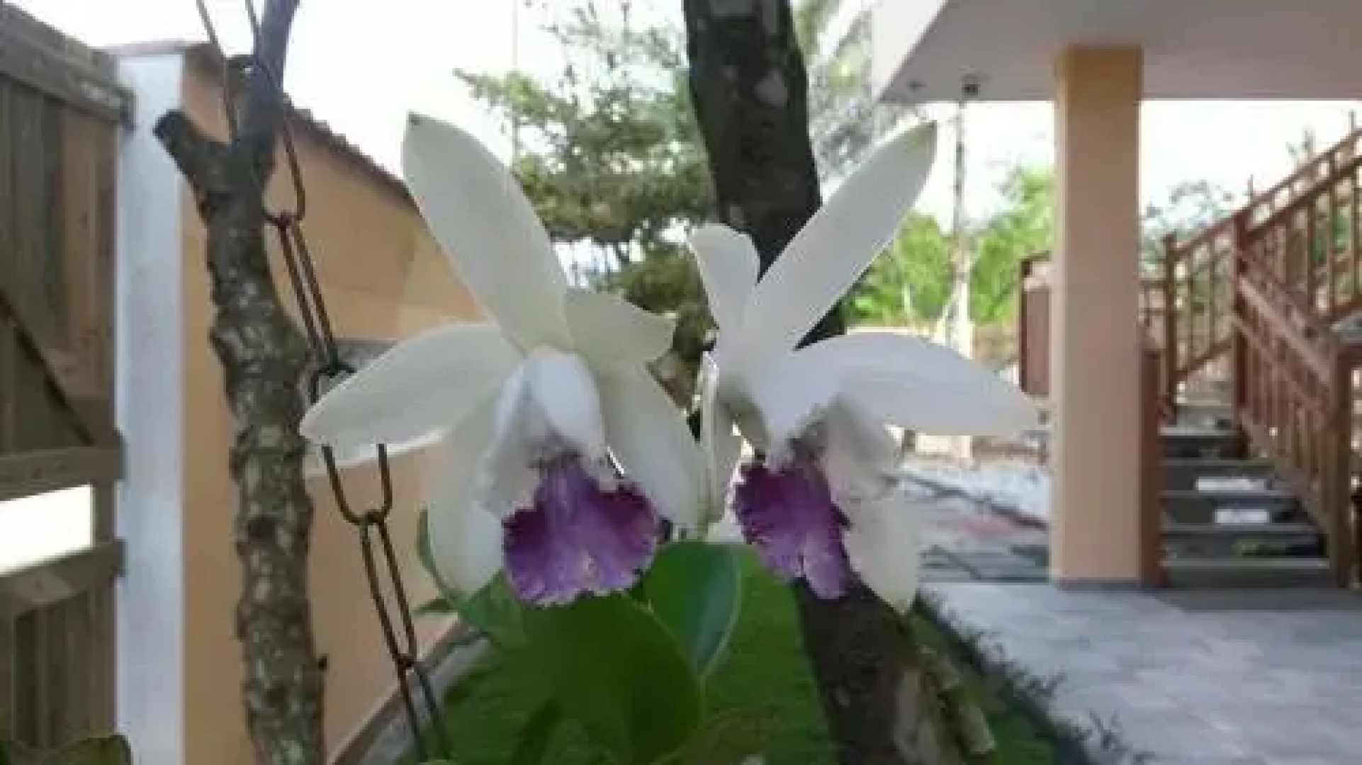Pousada Canto da Praça