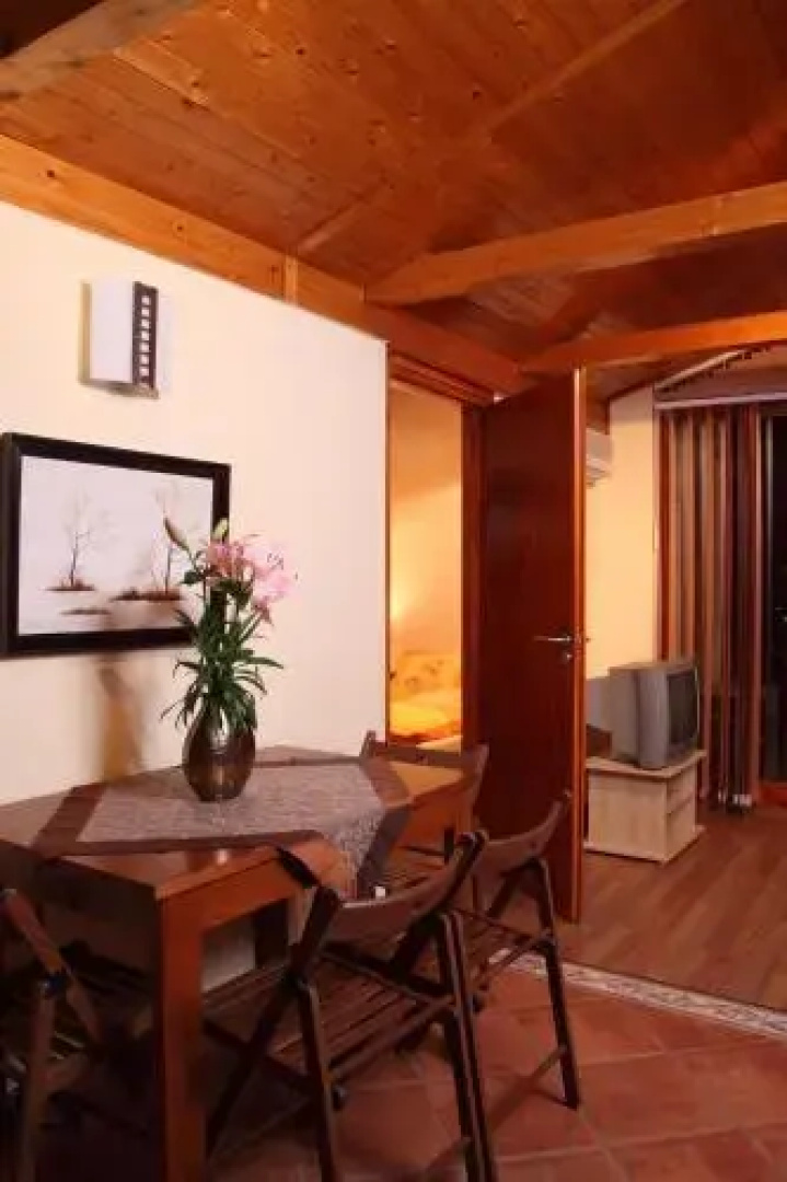 Aba Wellness House