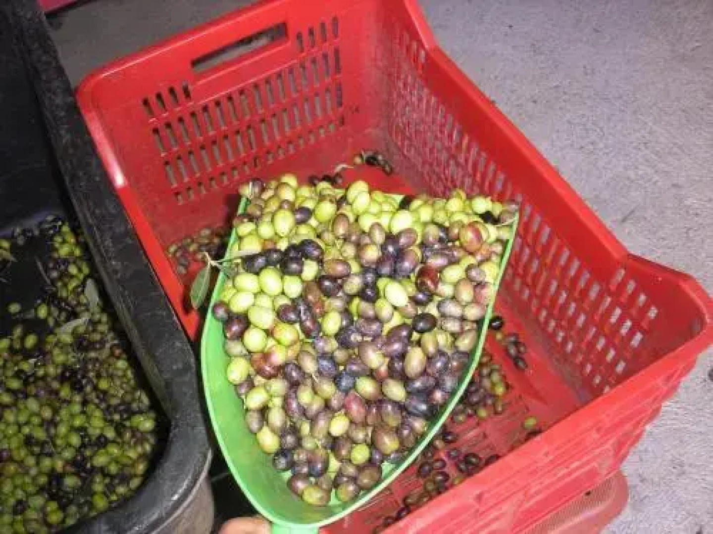 Agriturismo la Scala